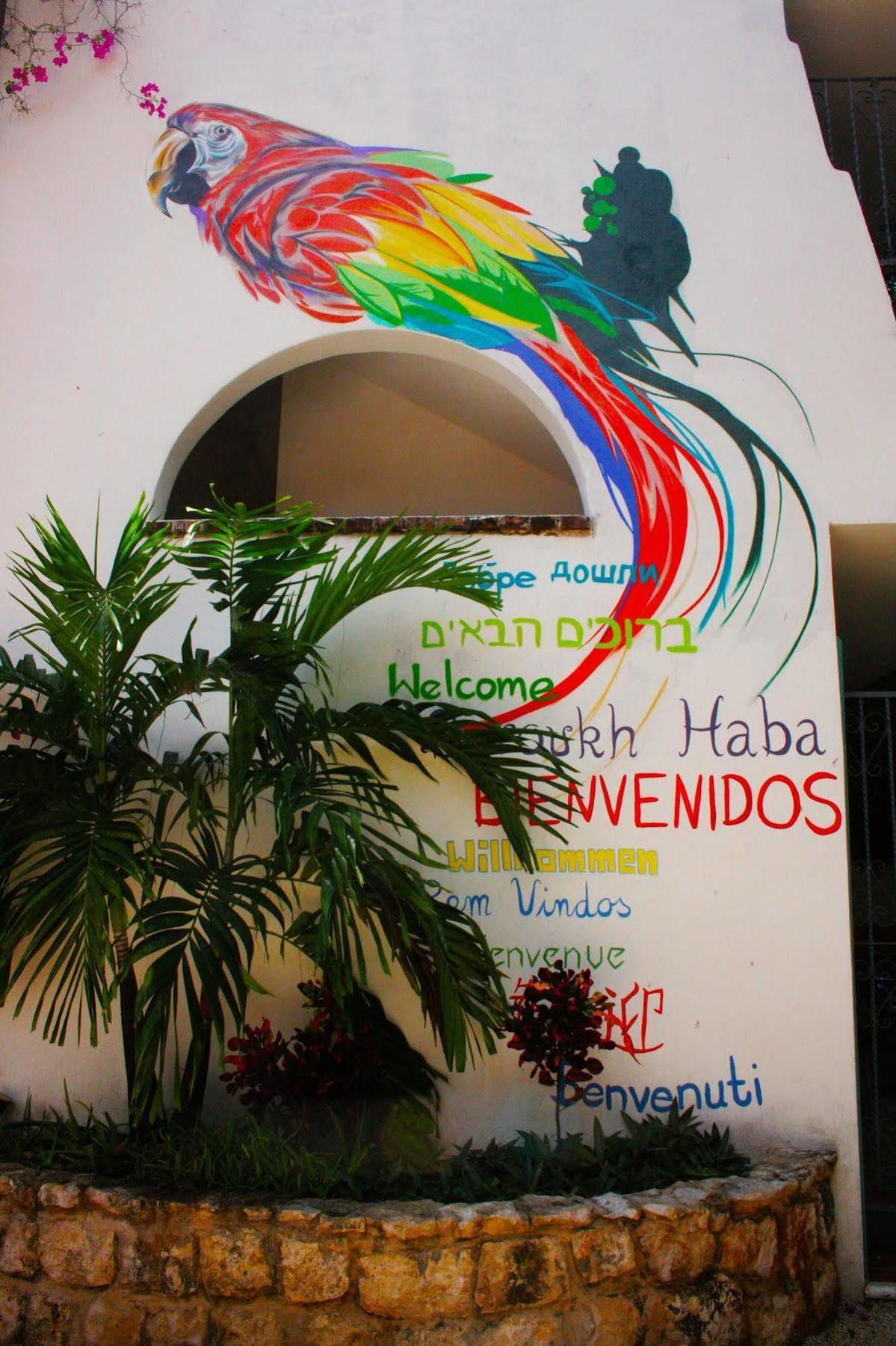 The Yak Hostel Playa del Carmen Exteriör bild